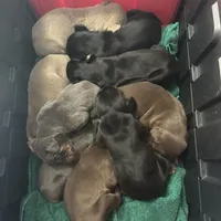 processed/73b6fa51-74ef-4dc4-a78c-32ef80b1793c/facility/c55e6061-7834-406e-a68a-f2b1c06a4705