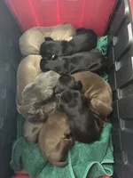 processed/73b6fa51-74ef-4dc4-a78c-32ef80b1793c/facility/c55e6061-7834-406e-a68a-f2b1c06a4705