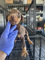 processed/73b6fa51-74ef-4dc4-a78c-32ef80b1793c/listing/1283df3d-f4f0-4cf3-b8ae-3809e02c5410/6940d495-91b9-47f3-82c6-4e5ca134ff1f