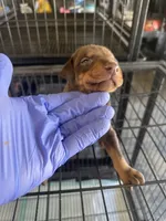 processed/73b6fa51-74ef-4dc4-a78c-32ef80b1793c/listing/1283df3d-f4f0-4cf3-b8ae-3809e02c5410/71b6a7f3-6908-4fb8-9916-deb6cc46a3a5