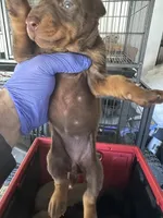 processed/73b6fa51-74ef-4dc4-a78c-32ef80b1793c/listing/1283df3d-f4f0-4cf3-b8ae-3809e02c5410/9406bc34-10f8-4934-a683-9684567f7734