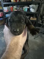 processed/73b6fa51-74ef-4dc4-a78c-32ef80b1793c/listing/1eddbcc2-60b0-496e-979e-2eff30df8d51/46c0eb30-0754-4ea3-996b-8a828036b27b