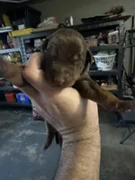 processed/73b6fa51-74ef-4dc4-a78c-32ef80b1793c/listing/7c29df54-a961-4a32-a64f-4616d551950e/3230b4c0-1252-4417-98b9-5257aa5d72c4