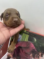 processed/73b6fa51-74ef-4dc4-a78c-32ef80b1793c/listing/7c29df54-a961-4a32-a64f-4616d551950e/3efd16e1-39f6-45c5-95b7-5d76725def5e