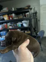 processed/73b6fa51-74ef-4dc4-a78c-32ef80b1793c/listing/7c29df54-a961-4a32-a64f-4616d551950e/4056d862-a942-4eb3-a058-6c699a2231e5