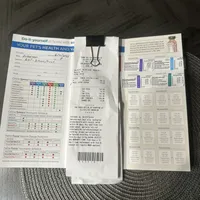 Roma, a female Doberman Pinscher for sale in San Bernardino, CA – Photo 10 of 10