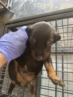 processed/73b6fa51-74ef-4dc4-a78c-32ef80b1793c/listing/d076411c-d665-4059-b780-6d7a0493c2fb/0ff2ab5b-620f-4662-9038-5967c94e0e94