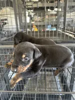 processed/73b6fa51-74ef-4dc4-a78c-32ef80b1793c/listing/d076411c-d665-4059-b780-6d7a0493c2fb/ad27b718-e975-41aa-a35b-85dc7dad42dd