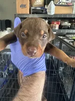 processed/73b6fa51-74ef-4dc4-a78c-32ef80b1793c/listing/ecfa3918-a396-4a9a-8944-9115c6133af6/191bdc17-e02c-4113-b32f-9813a2fb95f4