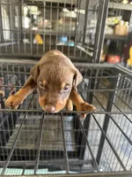 processed/73b6fa51-74ef-4dc4-a78c-32ef80b1793c/listing/ecfa3918-a396-4a9a-8944-9115c6133af6/400d2802-5dec-4fbb-b07d-6223ca05b678