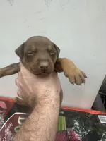 processed/73b6fa51-74ef-4dc4-a78c-32ef80b1793c/listing/ecfa3918-a396-4a9a-8944-9115c6133af6/5fb1f377-3563-4a8c-b712-92d3bbff0b7b