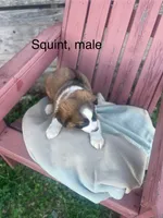 processed/73bb3301-5b5e-4975-8cd5-685cdba7acd9/listing/96c95295-7d71-49ea-a99f-6365aa1fd80e/1a58badd-9f3e-4f06-bcb3-6e1f0a1dac0a