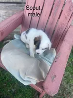 processed/73bb3301-5b5e-4975-8cd5-685cdba7acd9/listing/d2e28ced-9a91-448a-b281-03b088c3d64b/193f0985-60f5-40ac-8ac7-abecd67e522e