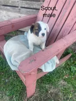 processed/73bb3301-5b5e-4975-8cd5-685cdba7acd9/listing/d2e28ced-9a91-448a-b281-03b088c3d64b/7684b48a-8b30-416b-9738-cf82e407b648