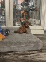 processed/73bbe6f8-efab-45ac-9472-77a306f30d03/listing/37bed5b3-594b-497f-9fec-1e57aa11d52b/2b0e17db-7719-4c4a-8f63-2873d9fa867b