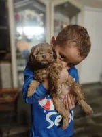 processed/73bbe6f8-efab-45ac-9472-77a306f30d03/listing/37bed5b3-594b-497f-9fec-1e57aa11d52b/9ac200fd-f7b7-4ff6-8349-25911f96b112