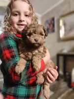 processed/73bbe6f8-efab-45ac-9472-77a306f30d03/listing/37bed5b3-594b-497f-9fec-1e57aa11d52b/a18b07a5-80f0-4813-9b96-935df35e5112