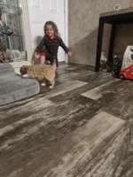 processed/73bbe6f8-efab-45ac-9472-77a306f30d03/listing/cfcaa164-d851-47e3-97e2-78bd2bbe5826/554bf5f4-28e7-4e96-8e74-b1d64eaca3eb