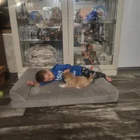 processed/73bbe6f8-efab-45ac-9472-77a306f30d03/listing/cfcaa164-d851-47e3-97e2-78bd2bbe5826/9a986d02-f20b-4d65-850a-0525107bb067