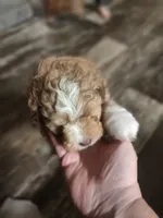 processed/73bbe6f8-efab-45ac-9472-77a306f30d03/listing/cfcaa164-d851-47e3-97e2-78bd2bbe5826/bad8b9ba-184f-4af6-986d-addbe5c5dd16