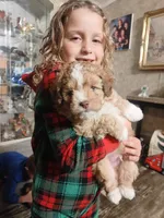 processed/73bbe6f8-efab-45ac-9472-77a306f30d03/listing/cfcaa164-d851-47e3-97e2-78bd2bbe5826/e3c57e4c-cdd5-4f50-812c-670960d29328