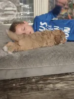 processed/73bbe6f8-efab-45ac-9472-77a306f30d03/listing/cfcaa164-d851-47e3-97e2-78bd2bbe5826/febb07d3-a786-46a2-aa17-0511b8d89d12