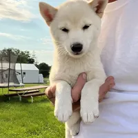 processed/73bed323-1a1c-49ef-bd80-fda9550997bc/facility/6f269d31-2886-40f4-a523-26a3a993086e