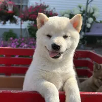 processed/73bed323-1a1c-49ef-bd80-fda9550997bc/facility/f3ed5008-347f-4bd8-b740-fdba790c2c7a