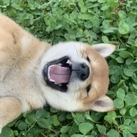 processed/73bed323-1a1c-49ef-bd80-fda9550997bc/facility/fbb6e4bf-1d76-4bf9-8e6f-6b567c0931f1