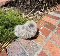 Female Smokey, a female Pomeranian for sale in Winter Haven, FL – Photo 4 of 5