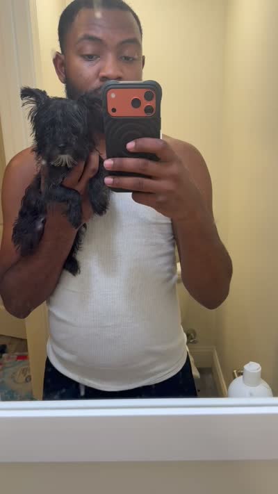 Mia kb black , a female Yorkshire Terrier for sale in Washington, DC – 5 of 5