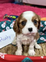 processed/73ed245b-ab36-4eee-ba22-60731d5b332c/listing/1f63dd7b-896d-42c4-b54f-81b08ca01ab5/16613b4c-e417-4d5f-983e-0b18be6a99ba