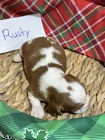 processed/73ed245b-ab36-4eee-ba22-60731d5b332c/listing/1f63dd7b-896d-42c4-b54f-81b08ca01ab5/40dc0912-c969-4d5a-bdf8-0dd9298db356