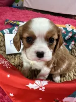 processed/73ed245b-ab36-4eee-ba22-60731d5b332c/listing/1f63dd7b-896d-42c4-b54f-81b08ca01ab5/b5f9432b-02fb-4652-9f7b-2c115549d87e