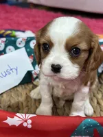 processed/73ed245b-ab36-4eee-ba22-60731d5b332c/listing/1f63dd7b-896d-42c4-b54f-81b08ca01ab5/b837657b-ea5e-41f7-a12a-8a3b8903e26f