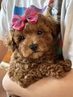 processed/73ed245b-ab36-4eee-ba22-60731d5b332c/listing/753ec40f-ac99-4535-99e9-289d41296837/0fce22d8-a640-410b-991f-09c50322276d