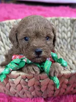 processed/73ed245b-ab36-4eee-ba22-60731d5b332c/listing/753ec40f-ac99-4535-99e9-289d41296837/1e0db969-ac1b-4908-83e5-218cd6b407df