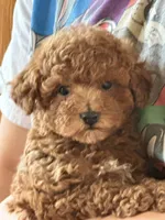 processed/73ed245b-ab36-4eee-ba22-60731d5b332c/listing/753ec40f-ac99-4535-99e9-289d41296837/2c65e8fb-a680-471c-9dad-89cdbacd0dcb