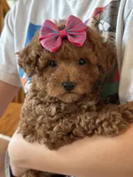 processed/73ed245b-ab36-4eee-ba22-60731d5b332c/listing/753ec40f-ac99-4535-99e9-289d41296837/454b4b73-3d61-4fc2-9cd0-75b8cff5cfac