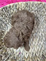 processed/73ed245b-ab36-4eee-ba22-60731d5b332c/listing/753ec40f-ac99-4535-99e9-289d41296837/6f3e40ba-5ccb-4d02-928c-5b8dee2c8ba5