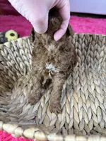 processed/73ed245b-ab36-4eee-ba22-60731d5b332c/listing/753ec40f-ac99-4535-99e9-289d41296837/829395c3-3a7f-4218-8bc8-2796b368f55e