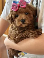 processed/73ed245b-ab36-4eee-ba22-60731d5b332c/listing/753ec40f-ac99-4535-99e9-289d41296837/aa70e30d-b389-4bce-bcca-25eb77a17e95