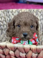 processed/73ed245b-ab36-4eee-ba22-60731d5b332c/listing/753ec40f-ac99-4535-99e9-289d41296837/fbeb6a63-5fd9-4cb6-9aa4-ad333f1af627