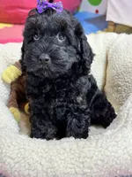 processed/73ed245b-ab36-4eee-ba22-60731d5b332c/listing/862929d4-f888-4077-bc15-73859306ca8d/5282b2a5-8c5b-4f8c-90fe-7e79001887e8