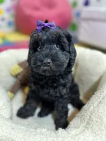 processed/73ed245b-ab36-4eee-ba22-60731d5b332c/listing/862929d4-f888-4077-bc15-73859306ca8d/5ce5b766-fba0-4104-b9e9-da48d690f141