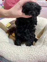 processed/73ed245b-ab36-4eee-ba22-60731d5b332c/listing/862929d4-f888-4077-bc15-73859306ca8d/84118e3e-0f70-4c09-b2f5-8b4f624f2459