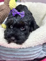 processed/73ed245b-ab36-4eee-ba22-60731d5b332c/listing/862929d4-f888-4077-bc15-73859306ca8d/84a2d3ba-36d1-42b7-a4db-cf0733684ed3