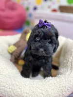 processed/73ed245b-ab36-4eee-ba22-60731d5b332c/listing/862929d4-f888-4077-bc15-73859306ca8d/8f2b74ea-54e0-45c8-a6d3-f6802498fa52