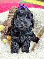 processed/73ed245b-ab36-4eee-ba22-60731d5b332c/listing/862929d4-f888-4077-bc15-73859306ca8d/b80619ce-3402-4769-8df5-cde57df20e2e