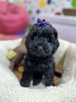 processed/73ed245b-ab36-4eee-ba22-60731d5b332c/listing/862929d4-f888-4077-bc15-73859306ca8d/d9f04dd4-6869-43b5-96c1-11389e08ff2b